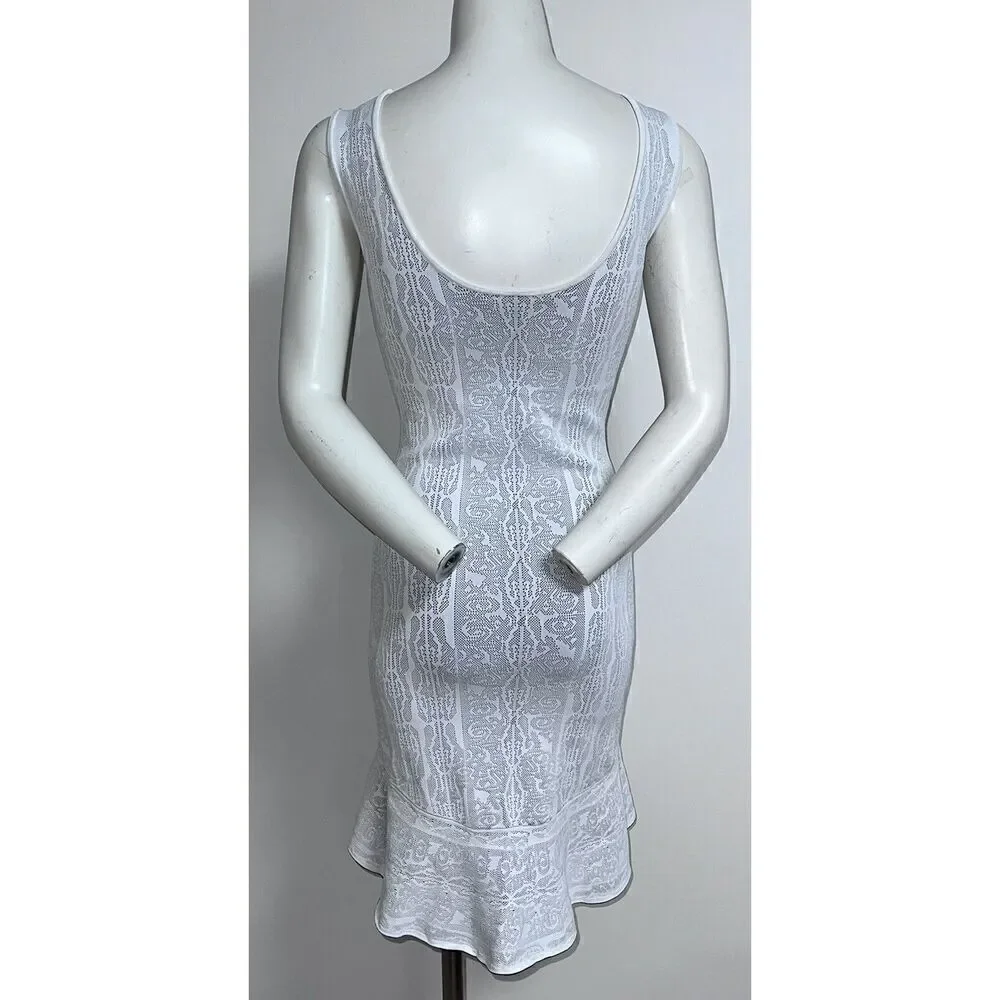 BCBG MAXAZRIA Faye Jacquard Dress ( Size XS) Self Contrast Lace Jacquard